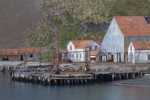 Stromness, South Georgia Island 003.jpg